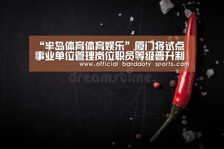 半岛体育体育网