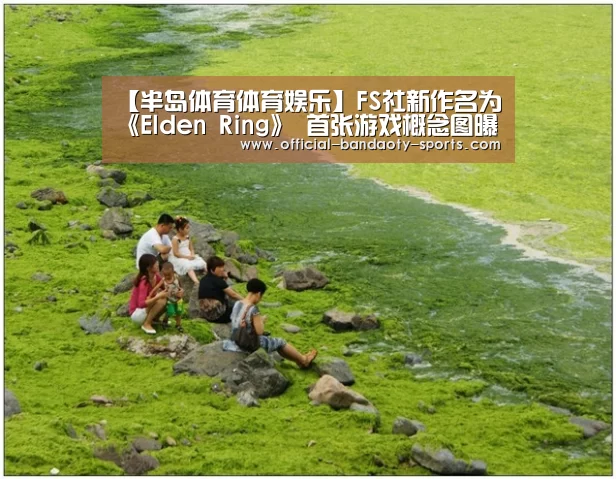 【半岛体育体育娱乐】FS社新作名为《Elden Ring》 首张游戏概念图曝光(图3) 半岛体育下载