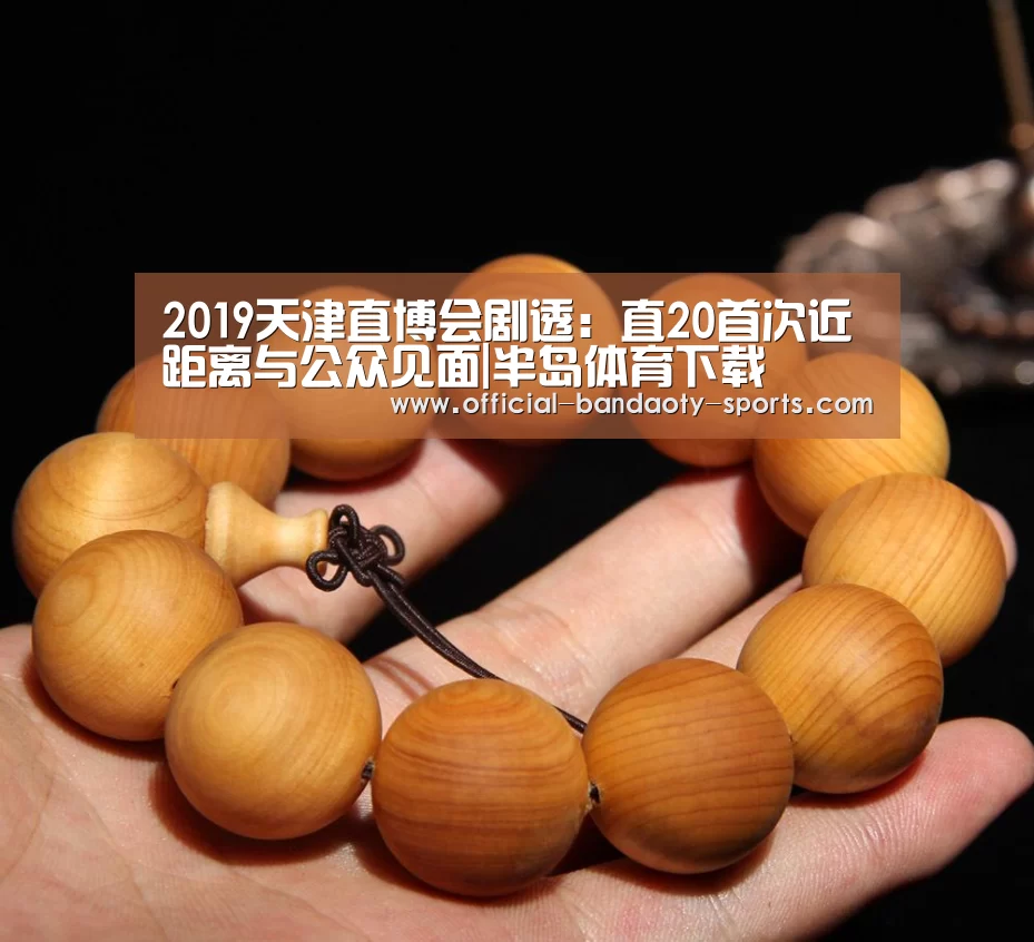 2019天津直博会剧透:直20首次近距离与公众见面|半岛体育下载(图2) 半岛体育线上观看