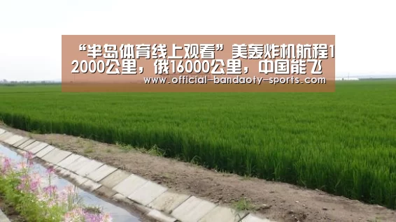 “半岛体育线上观看”美轰炸机航程12000公里,俄16000公里,中国能飞多远?台旅客法国遭攻击(图3) 半岛体育体育网
