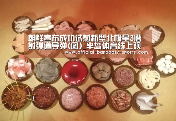 朝鲜宣布成功试射新型北极星3潜射弹道导弹(图)_半岛体育线上观看(图1) 半岛体育下载