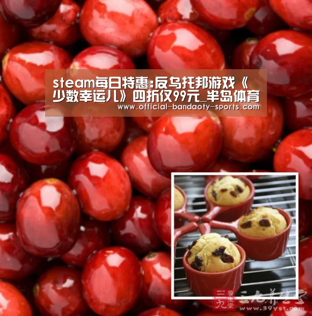 steam每日特惠:反乌托邦游戏《少数幸运儿》四折仅99元_半岛体育线上观看(图2) 半岛体育线上观看